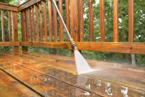 Best Roof Pressure Washing  in Five Points, NC